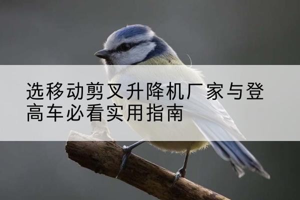 都安电动升降机厂家-选移动剪叉升降机厂家与登高车必看实用指南