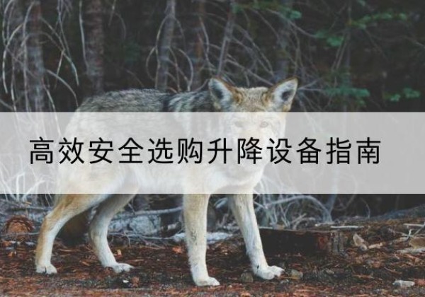 都安升降货梯厂家推荐-*安全选购升降设备指南